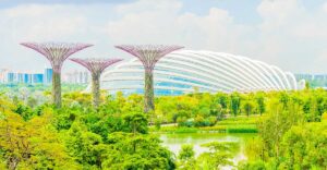 Picture of Singapore's garden by the bay.