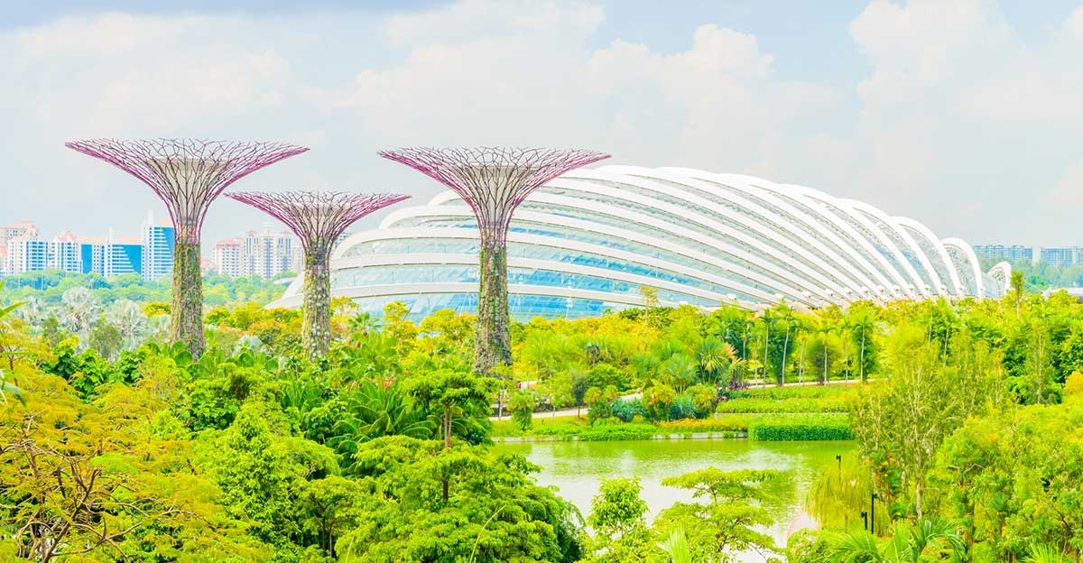 Picture of Singapore's garden by the bay.