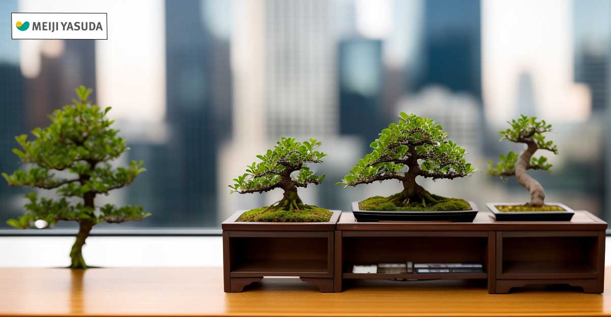 Photo of four bonsai trees growing with city buildings in background. Meiji Yasuda logo in top left corner.