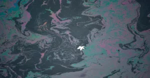 Photo of oil spill with flower in the middle.