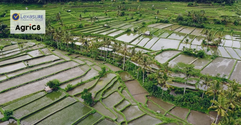 lexasure-and-agrig8-to-partner-on-agricultural-insurance-solution-for-indonesian-rice-farmers