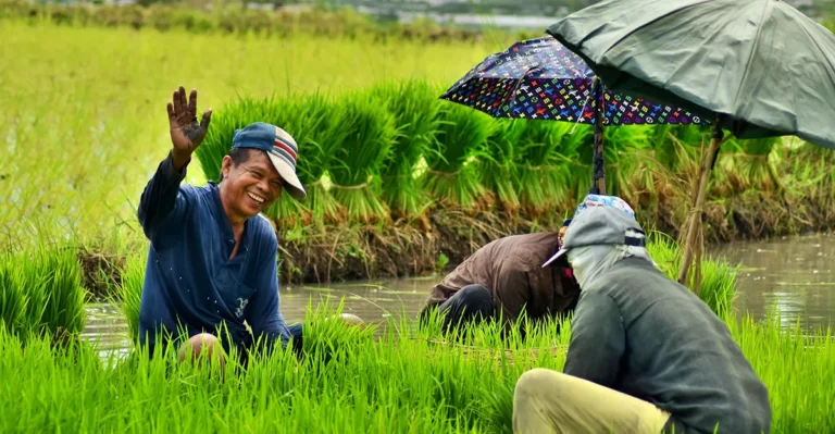 A photo of a Filipino man waving while farming.