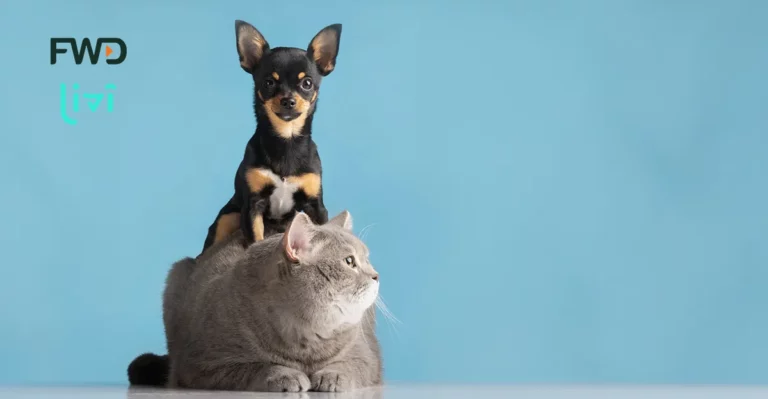 fwd-and-livi-launch-bancassurance-pet-care-partnership-in-hong-kong