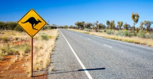 A road with a kangaroo sign on it.