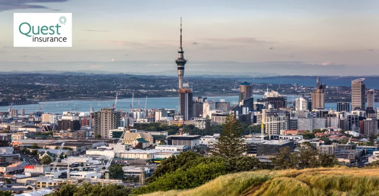 The city of auckland is seen from the top of a hill.