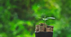 A plant is growing out of a pile of coins.