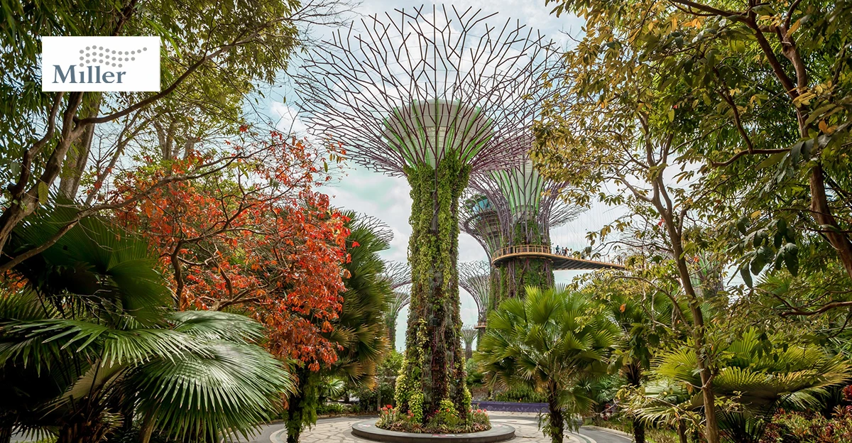 Gardens by the bay singapore.