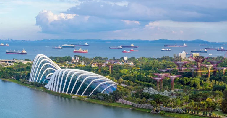 Gardens by the bay in singapore.