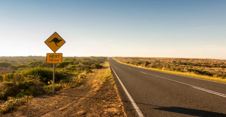 A road sign with a kangaroo on it.