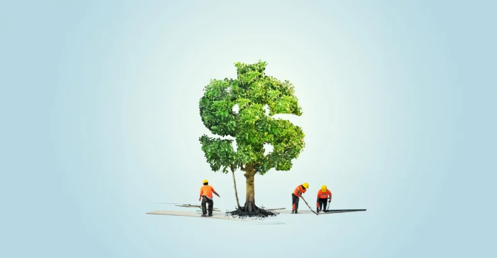 Insurance to underpin asian voluntary carbon credit markets