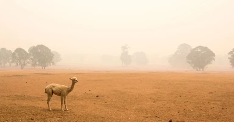 australias-bom-driest-october-in-two-decades-followed-record-dry-september-1