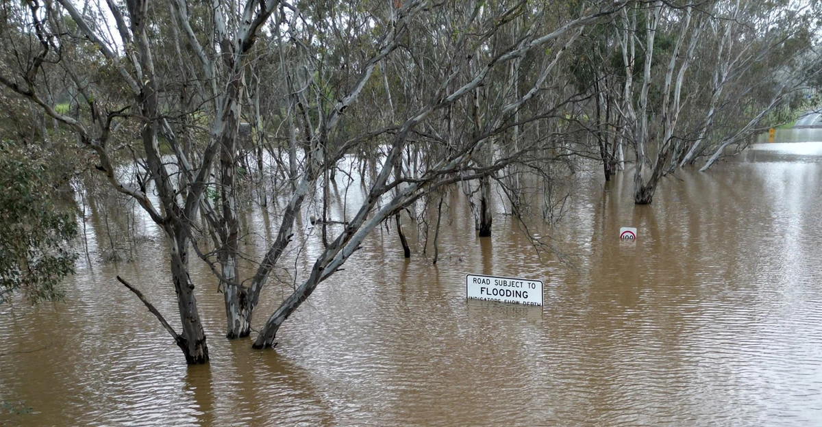 Ica nearly 250000 australian properties at risk of 1 in 20 year floods