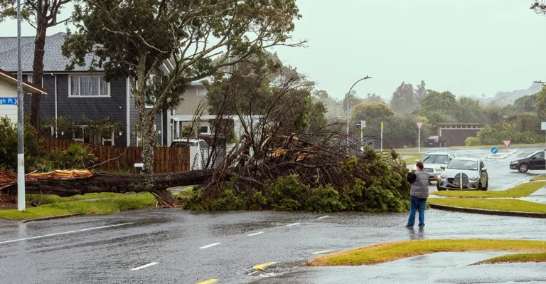 icnz-87-of-cyclone-gabrielle-and-auckland-anniversary-flood-claims-settled