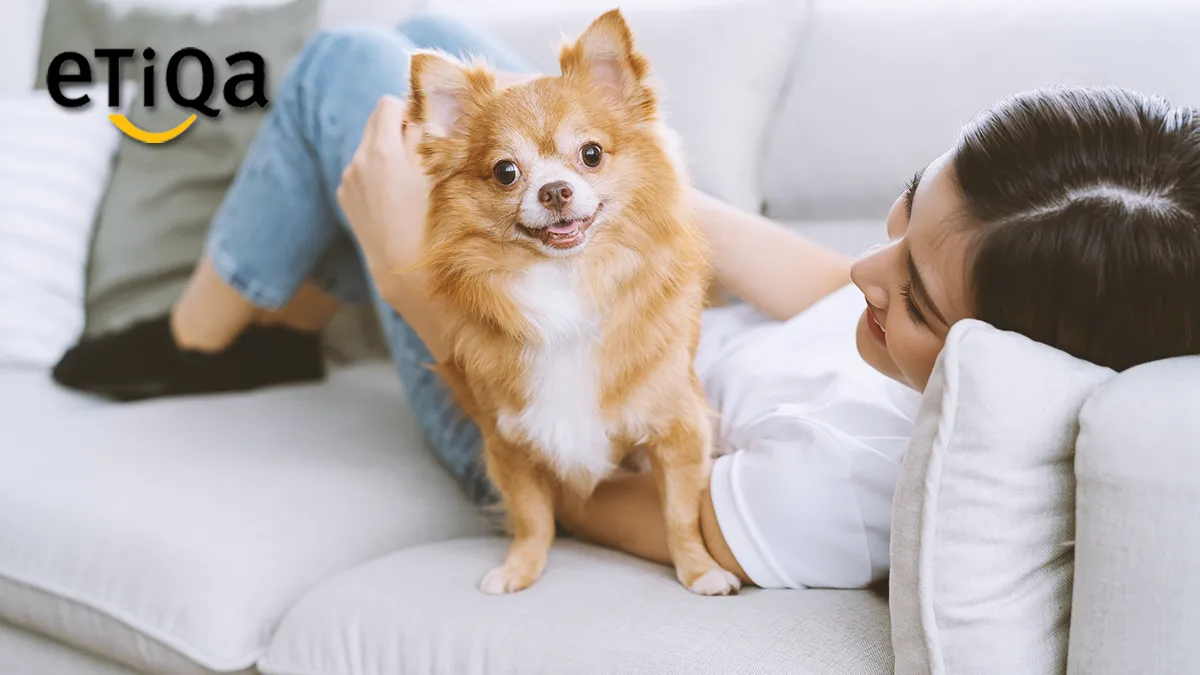 Etiqa singapore launches new comprehensive pet insurance policy