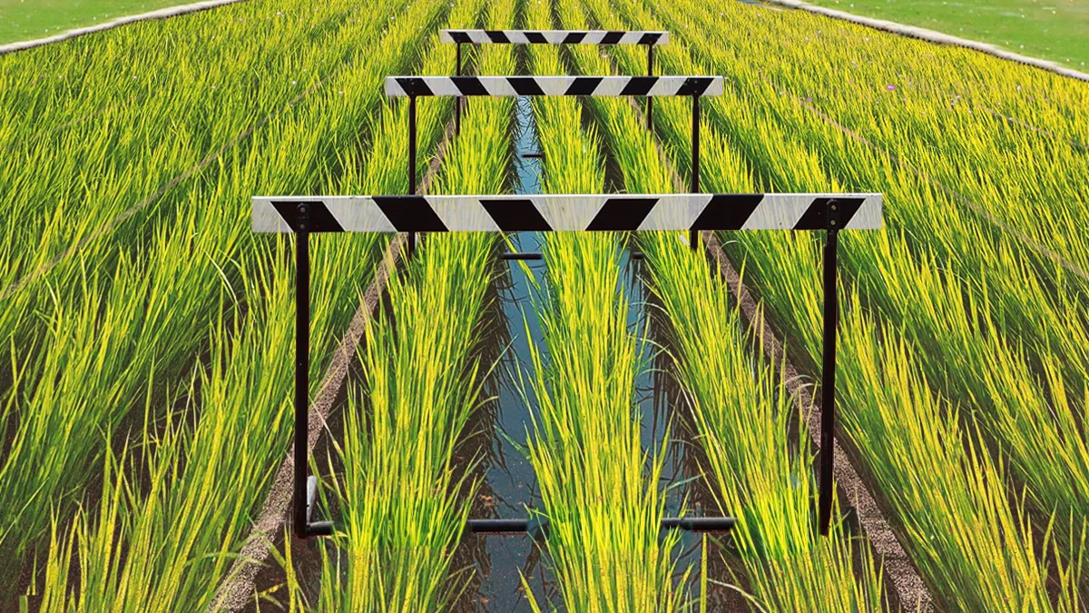 Parametric agriculture insurance faces distribution hurdles in asia