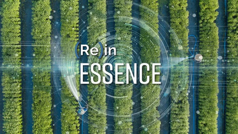 ReinEssenceTuesday_v1