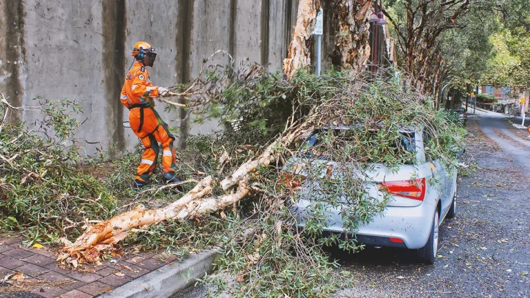 nsw-government-introduces-legislation-to-access-insurance-data-as-part-of-emergency-services-reform