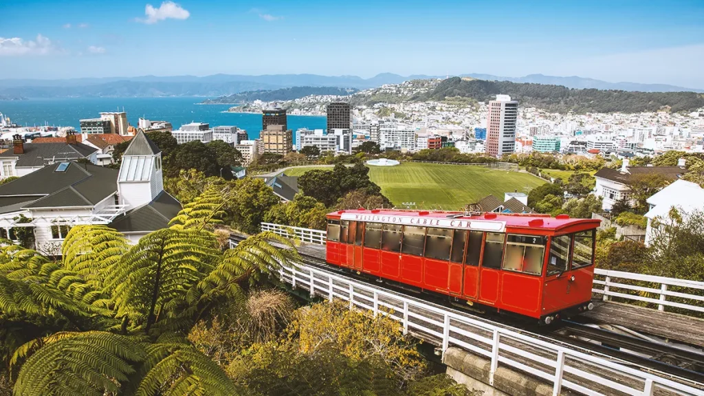 property-and-motor-to-drive-new-zealand-gi-growth