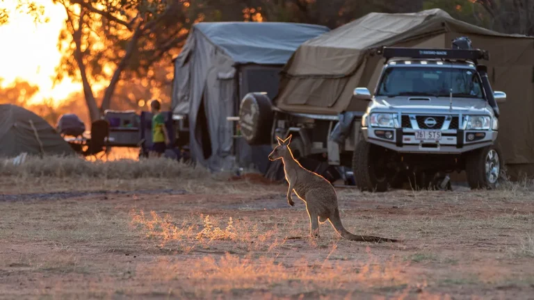 australias-2024-25-budget-sees-boost-to-disaster-resilience-funding-and-new-insurance-taskforce