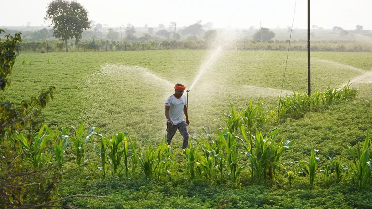 indian-insurers-reduce-exposure-to-government-backed-crop-insurance-scheme-in-fy24-report