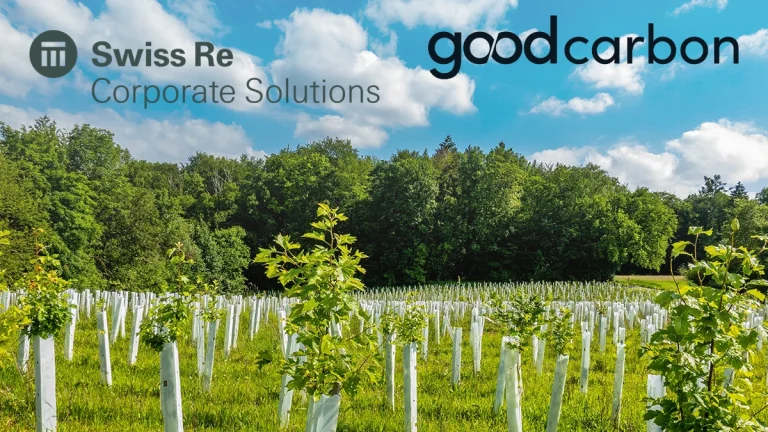 swiss-re-corso-and-goodcarbon-partner-on-carbon-credit-forwards-product