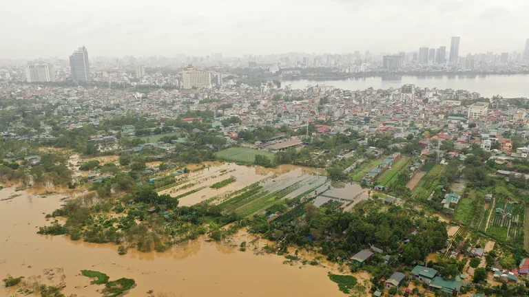 bulk-of-vietnams-typhoon-yagi-losses-to-be-borne-by-reinsurers-am-best