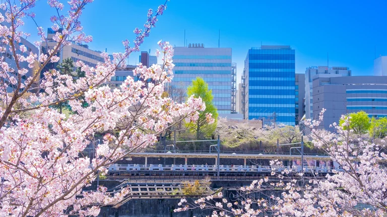 overseas-premiums-fuel-growth-for-japans-top-3-non-life-insurers-in-fiscal-q1