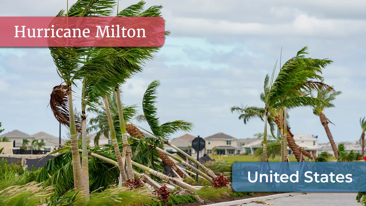 Milton likely an earnings event but global renewals face pressure after back to back hurricanes