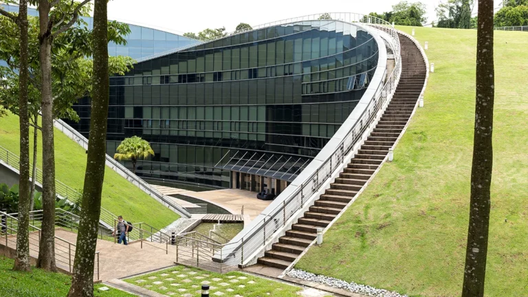 singapores-ntu-develops-ai-powered-model-for-affordable-farmer-insurance