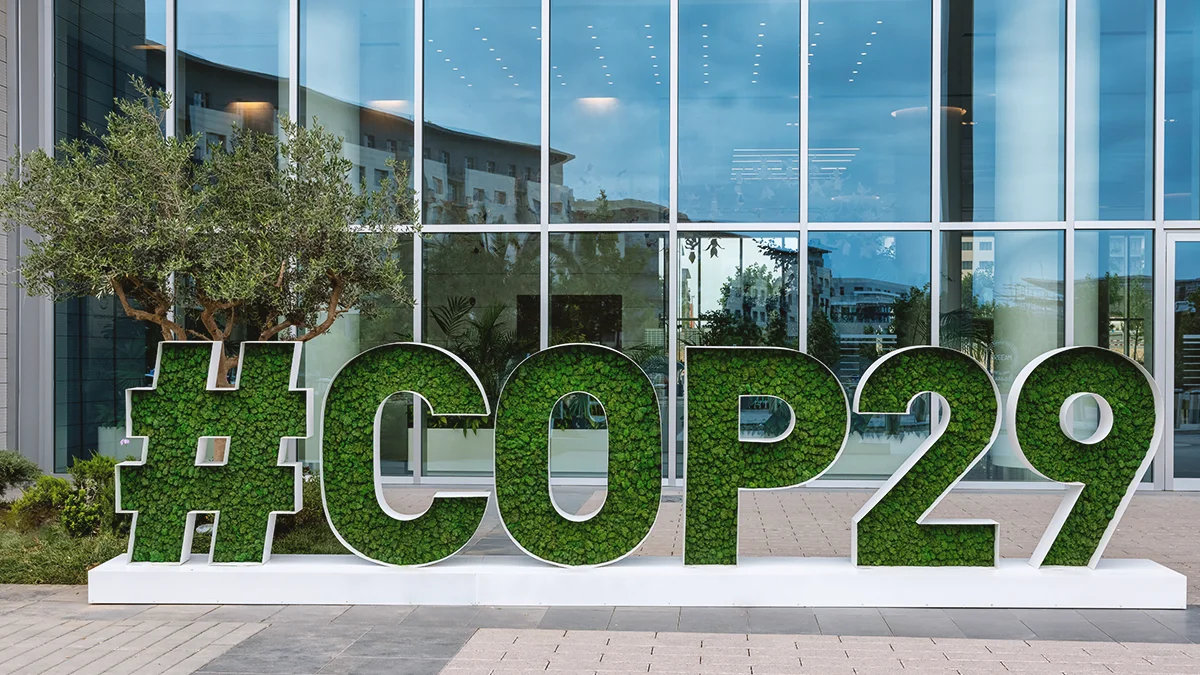 Un forum launches guide for insurers net zero transition plans at cop29