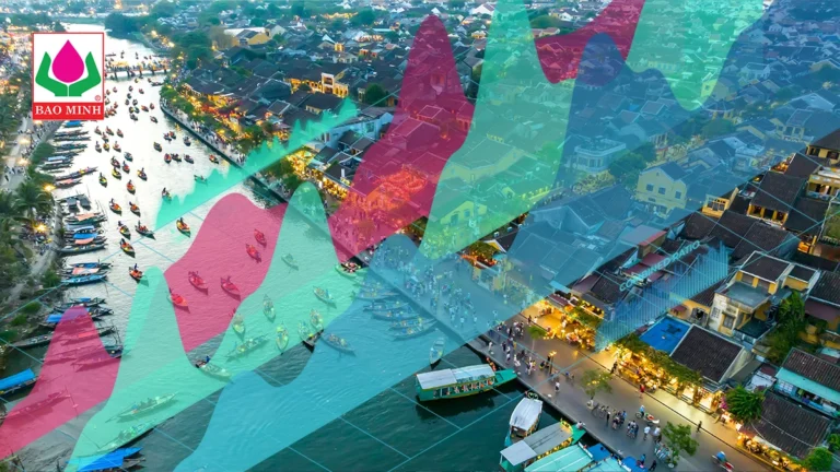 bao-minh-to-maintain-operating-profit-in-2024-despite-yagi-losses