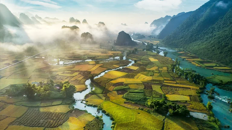reinsurers-hunt-for-aamph-opportunities-in-southeast-asia