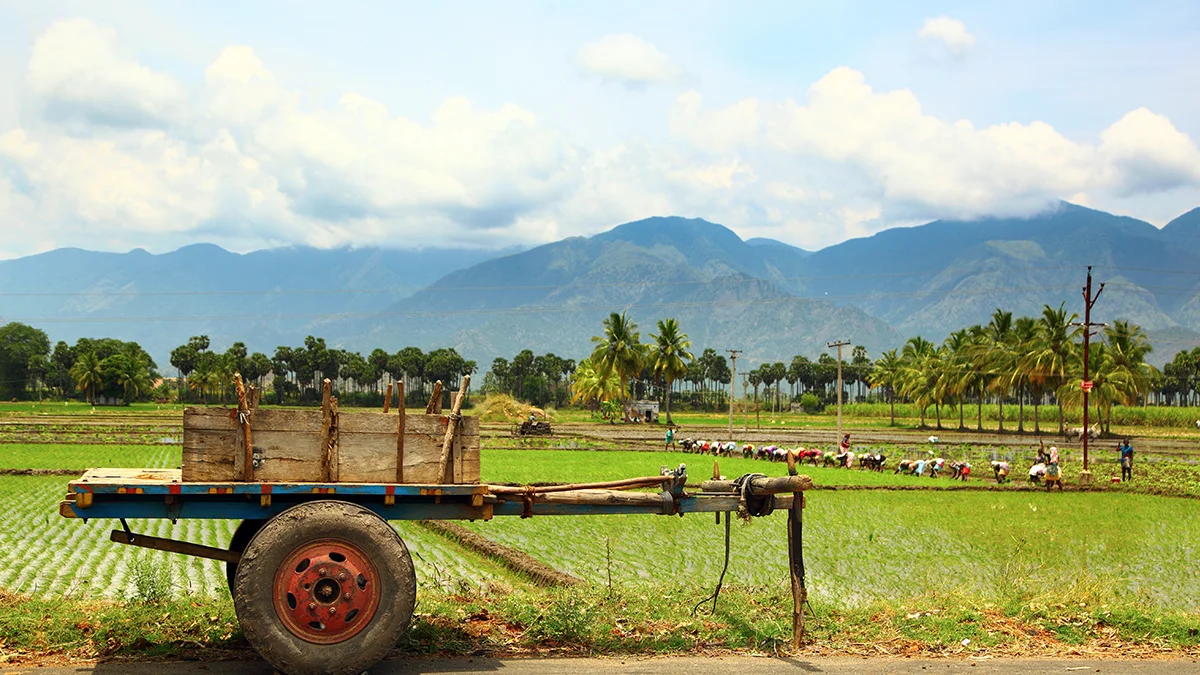 India extends crop insurance schemes to 2025 26