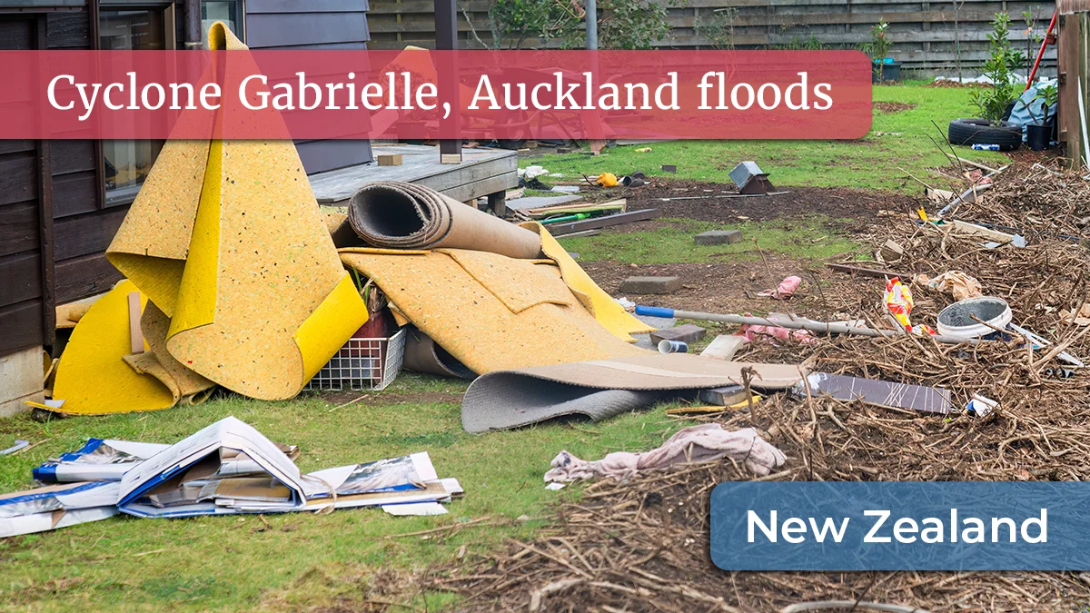 Nz insurers call for better data sharing after record north island disasters