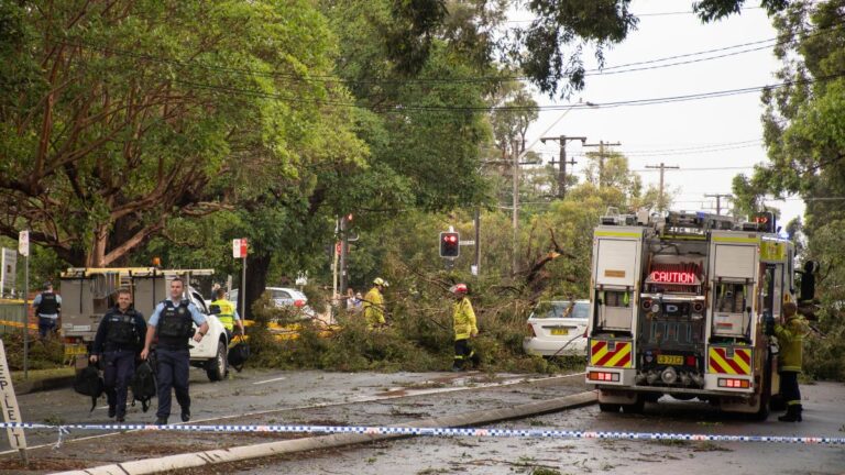 australias-cyclone-pool-reaches-a2-17-trillion-in-coverage-as-of-september-2024