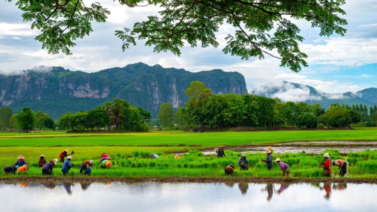 seadrif-fao-and-asean-nations-to-assess-southeast-asia-agricultural-risk-finance-facility