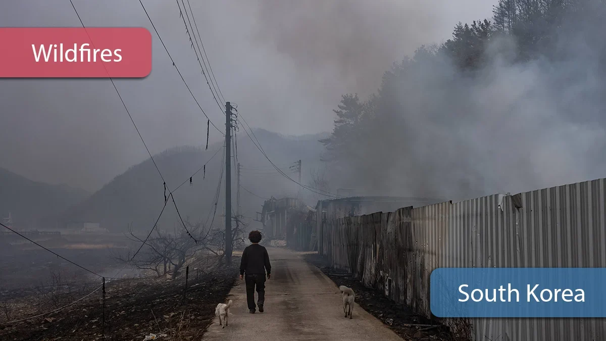 South korea battles historic wildfire emergency  rein asia