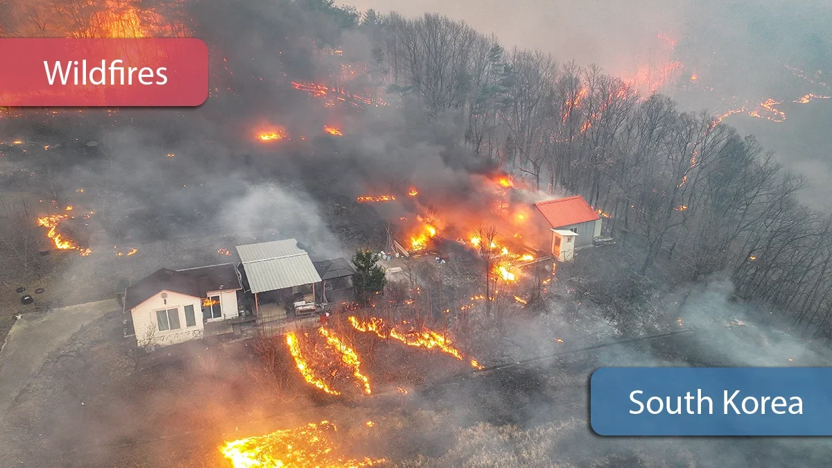 Aon estimates south korean wildfire economic losses in the hundreds of millions of dollars  rein asia