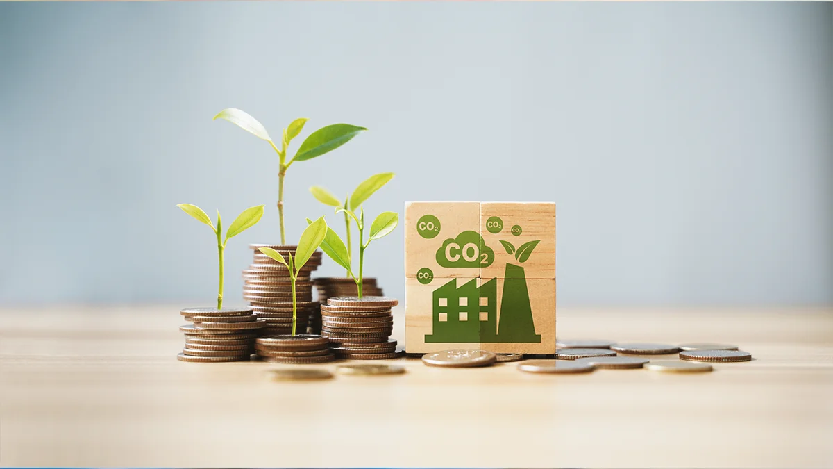 Kita launches non payment insurance to boost financing for carbon nature projects  rein asia