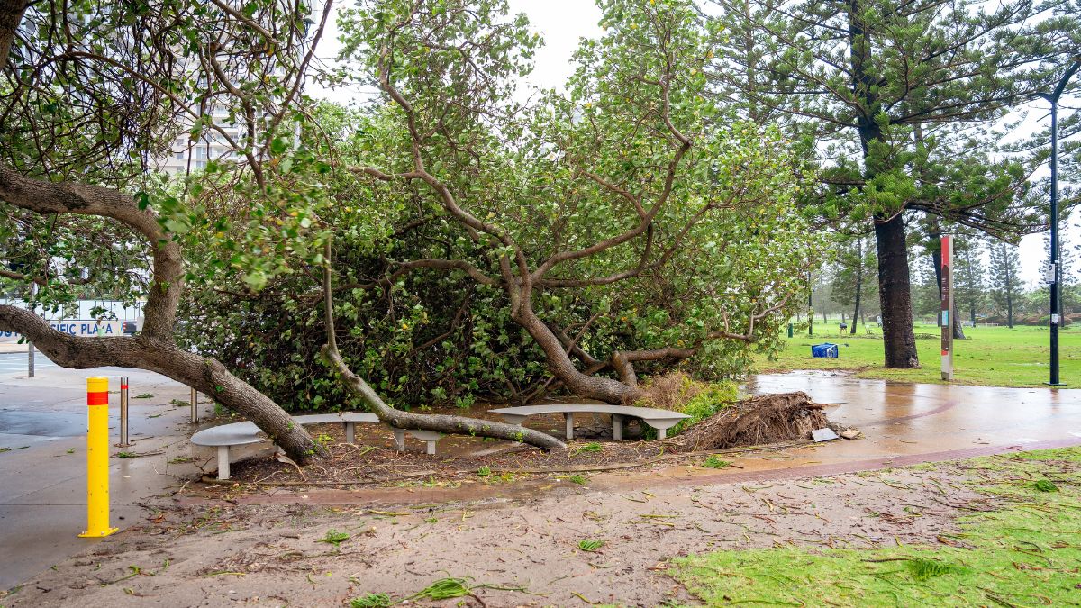 Aon projects cyclone alfred insurance losses of at least hundreds of millions of aussie dollars