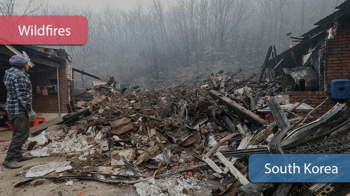 South korea wildfires to have limited impact on insurers ratings says sp  rein asia