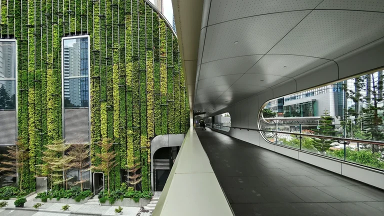 axa-working-to-develop-sustainability-linked-insurance-product-to-incentivise-climate-resilience