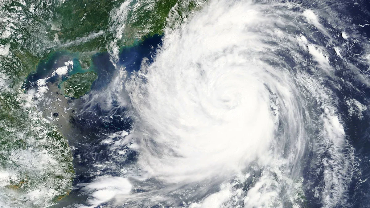 Munich re projects typical northwest pacific typhoon activity in 2025  rein asia