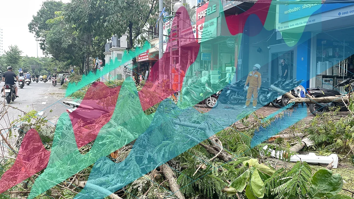 Vietnam national re reports better underwriting results in 2024 despite typhoon yagi losses am best  rein asia