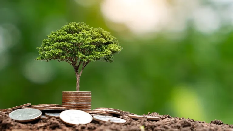 bolttech-raises-us147m-in-series-c-funding-reaches-us2-1bn-valuation