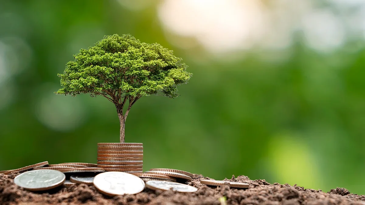 Bolttech raises us7m in series c funding reaches us 1bn valuation  rein asia