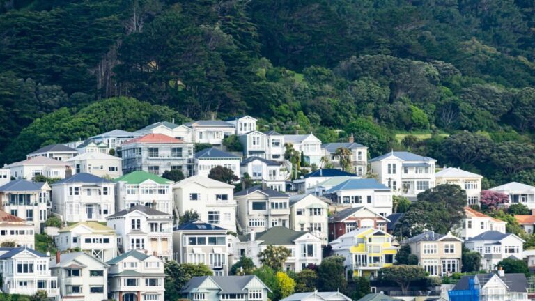 new-zealand-secures-nz10-3bn-in-reinsurance-to-protect-homeowners-from-natural-disasters