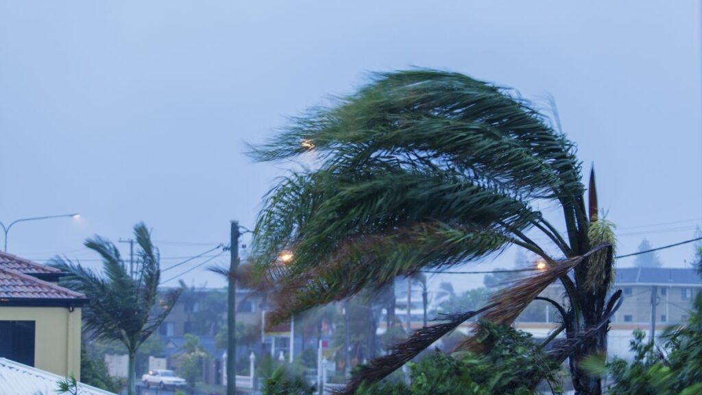 rising-premiums-persist-despite-cyclone-pool-reducing-costs-for-australias-high-risk-areas-accc