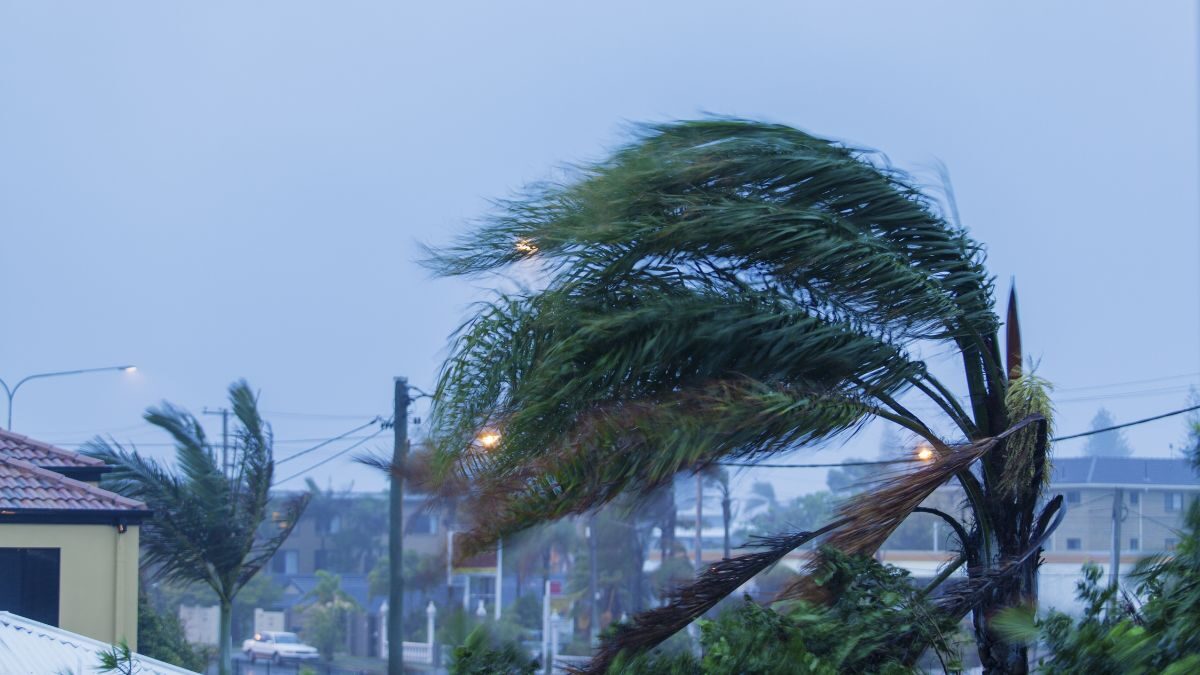 rising-premiums-persist-despite-cyclone-pool-reducing-costs-for-australias-high-risk-areas-accc