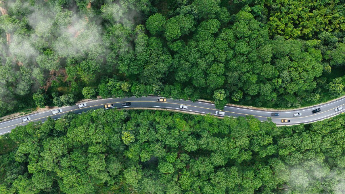 Forum for insurance transition to net zero unveils net zero transition guide for reinsurers brokers  rein asia